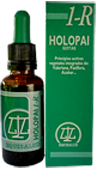 Alternative view of HOLOPAI 1R