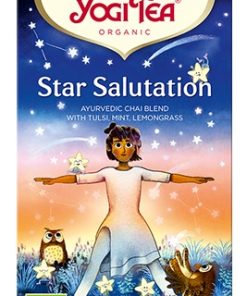 Alternative view of YOGI TEA STAR SALUTATION 17 FILTROS