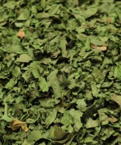 Alternative view of Cilantro, Hoja Trit. (Coriandrum sativum)